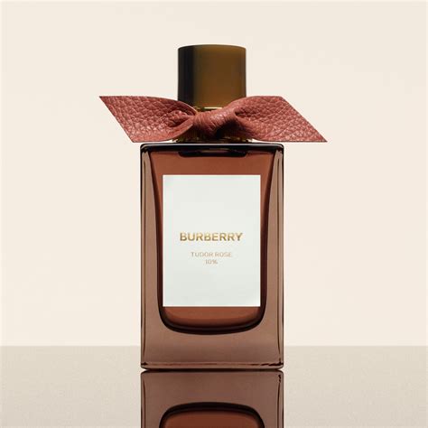 burberry fruity amber fiyat|burberry amber heath perfume.